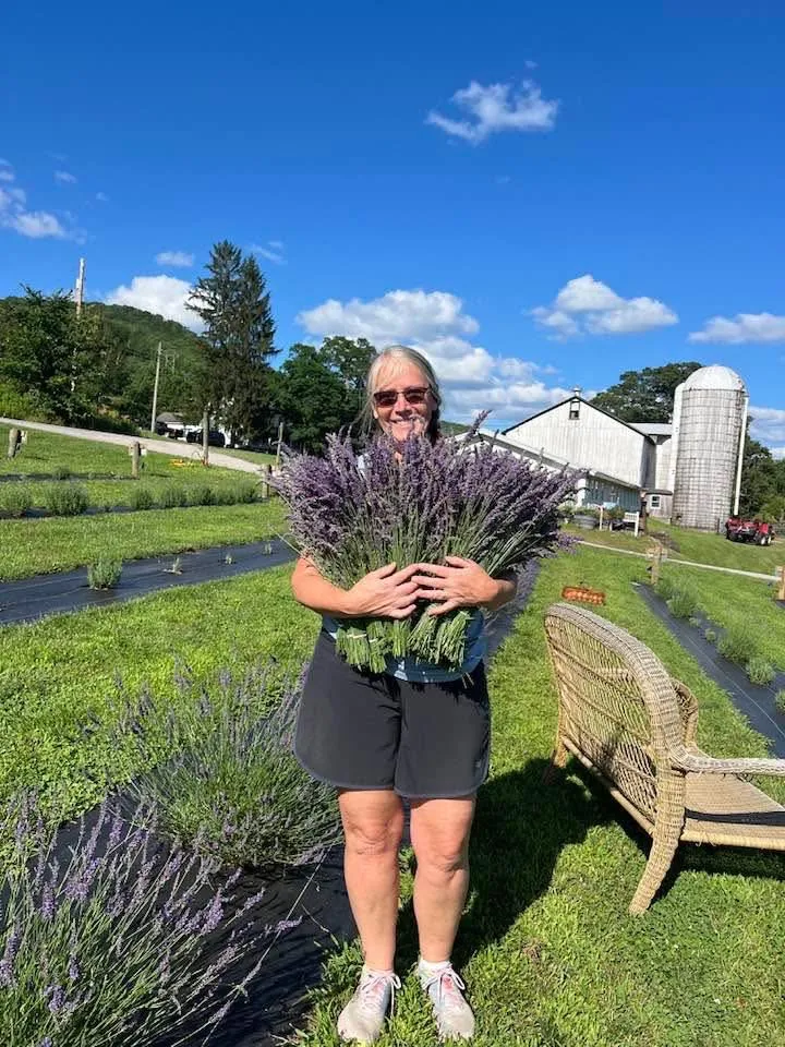 Lavender Fields at Maxwell Farm