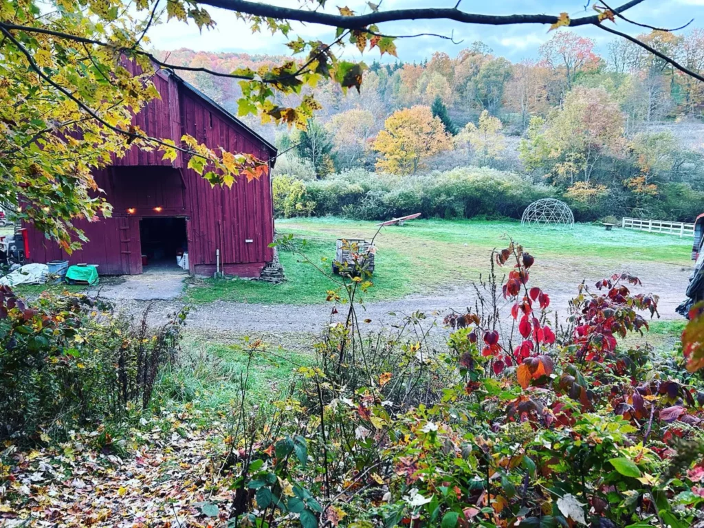 Stony Creek Farmstead