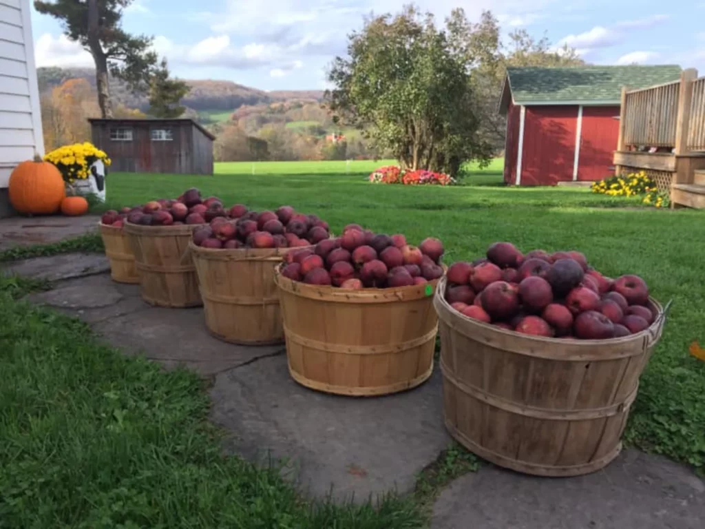Byebrook Farm