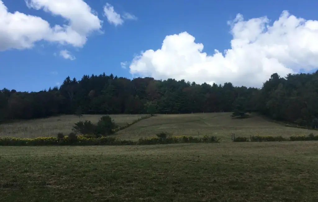 Opdyke Family Farm